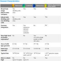 Common questions related to gene delivery using recombinant retrovirus